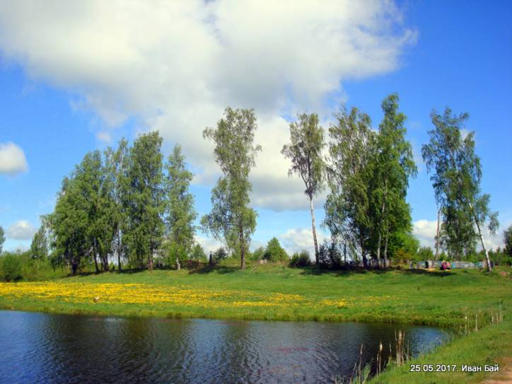  - Краявіды . 