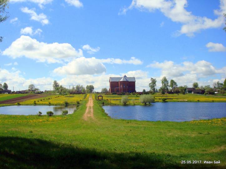  - Краявіды . 