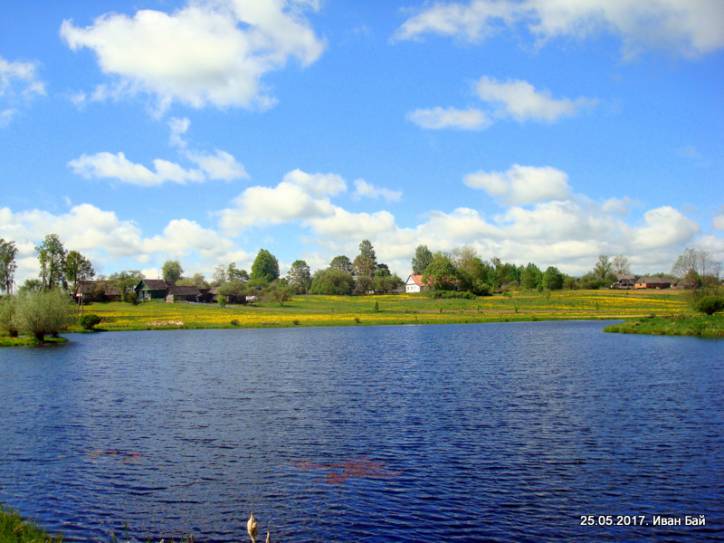  - Краявіды . 
