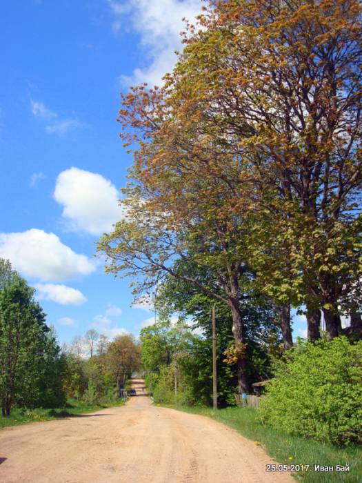  - Краявіды . 