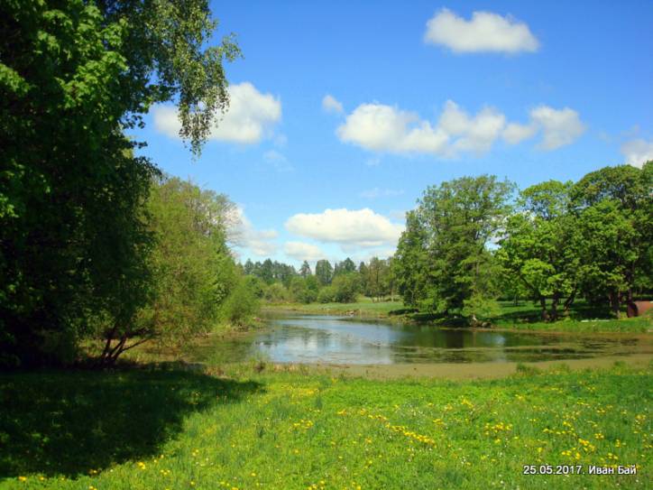  - Zespół pałacowo-parkowy . 