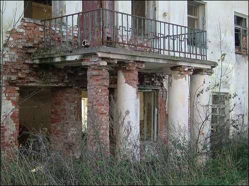Opytnaja (Bigosów). Zespół pałacowo-parkowy 