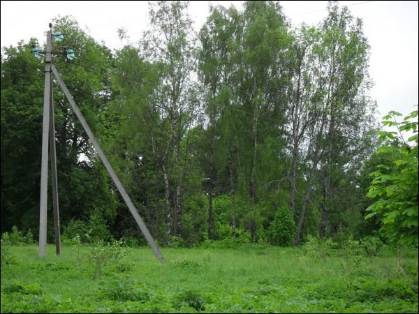 Čyrvony Dvor. Manor park 