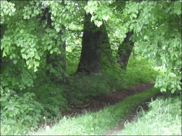 Čyrvony Dvor. Manor park 