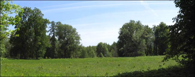 Čyrvony Dvor. Manor park 