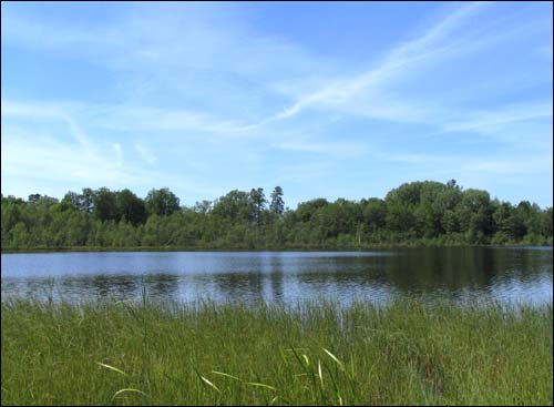 Čyrvony Dvor. Manor park 