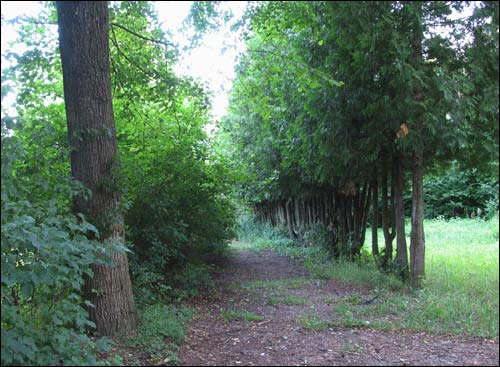 Łuki. Manor of Ostreyko