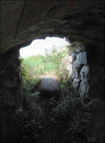 Psiarcy (Zadzvinnie). Landscapes 