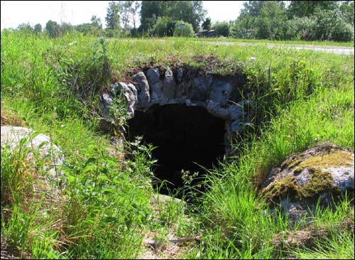 Psiarcy (Zadzvinnie). Landscapes 