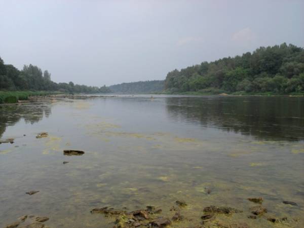 Zdraŭnieva (Kojtava). Landscapes 