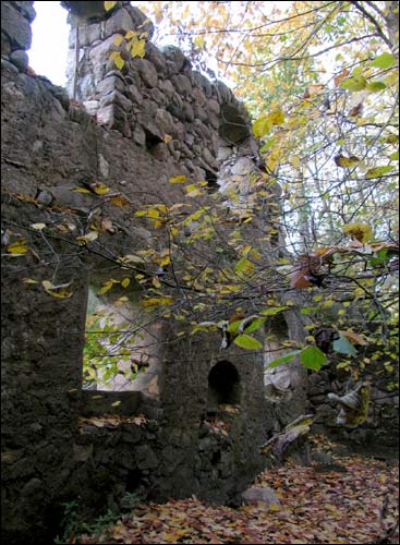 Sakolniki. Water-mill 