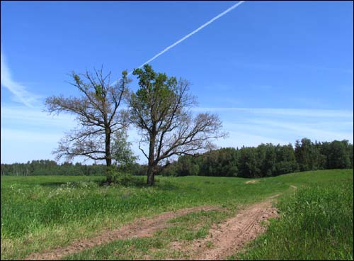 Трыгубцы. Краявіды 