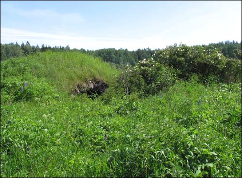  - Краявіды . Ад фальваркавых пабудоў захаваліся толькі рэшткі склепу