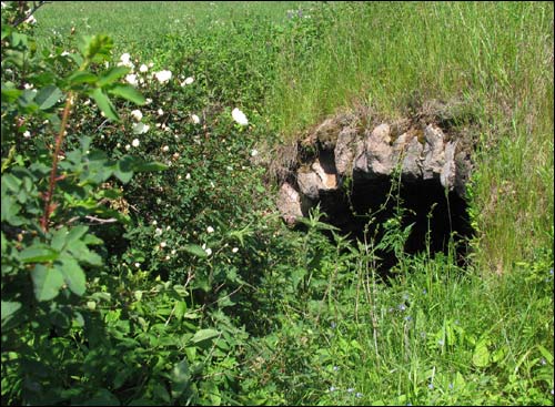  - Краявіды . Склеп