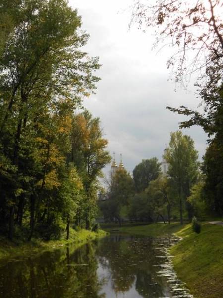 р.Віцьба, здалёк бачны вежы Ўваскрасенскай царквы і ратушы Віцебск. Краявіды