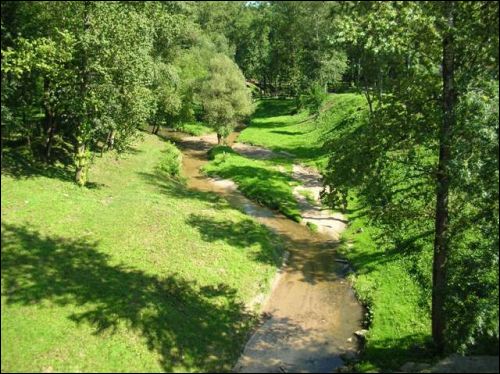 Рака Віцьба Віцебск. Краявіды