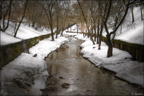 Рэчка Віцьба Віцебск. Краявіды