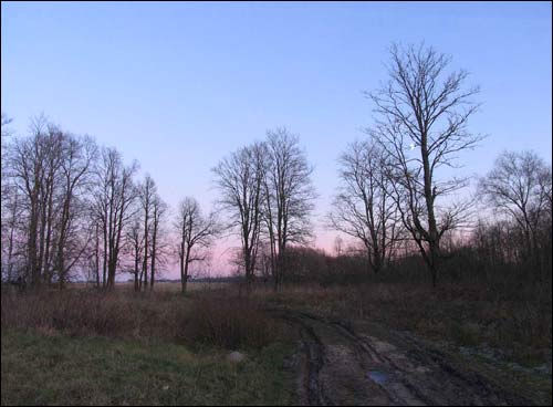 Simanaŭka (Kanstancinava).  Landscapes 