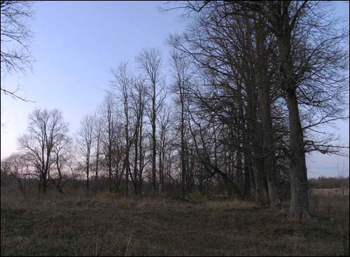 Simanaŭka (Kanstancinava). Landscapes 