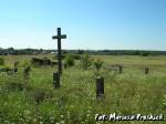 Kruleŭščyna (Karaleŭščyna) cemetery Soldierly