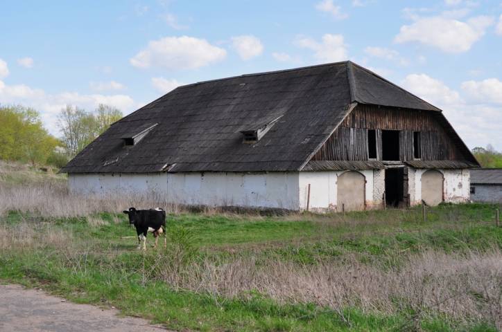  - Dwór gospodarczy Druckich-Lubeckich. 
