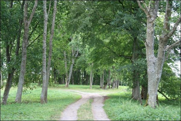 Justianów (Vainežeris).  Park dworski 