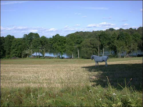 Justianów (Vainežeris). Park dworski 