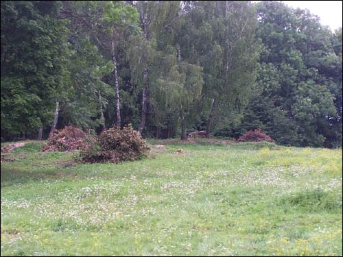 Justianów (Vainežeris). Park dworski 
