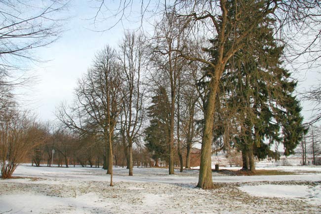 Manor of Kruszewski . In the park  - Manor of Kruszewski. In the park