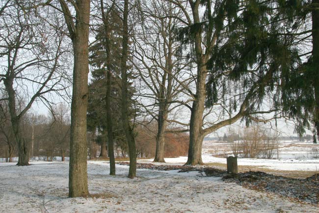 Manor of Kruszewski . In the park  - Manor of Kruszewski. In the park