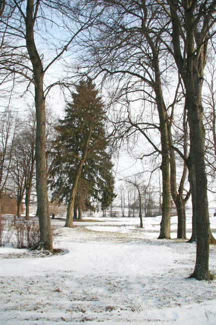 Manor of Kruszewski . In the park  - Manor of Kruszewski. In the park