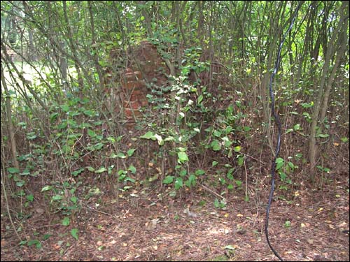 Варвишкес (Варвишки) |  Кладбище старое католическое. 