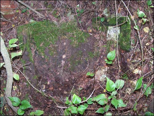 Варвішкі. Могілкі старыя каталіцкія