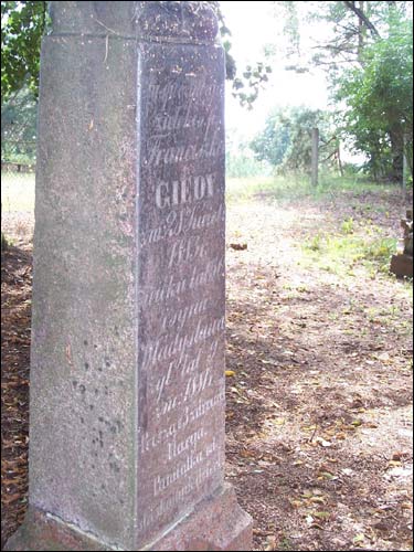 Варвішкі. Могілкі старыя каталіцкія