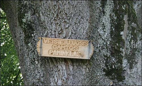 Wiejsieje. Zespół dworsko-parkowy Ogińskich