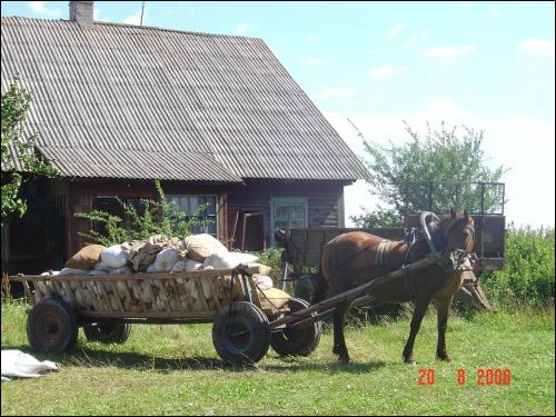 Dziewieniszki. Krajobrazy 