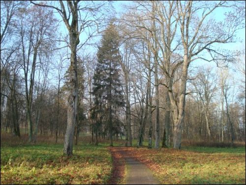 Jašiūnai. Manor of Balinski