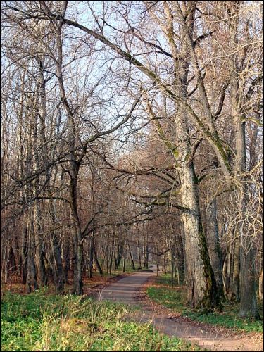 Jašiūnai. Manor of Balinski