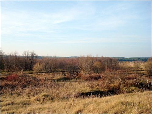 Merkinė.  Landscapes 