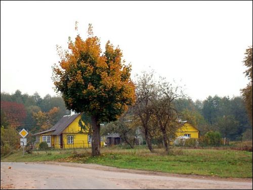 Малые Солечники |  Пейзажи . Посёлок