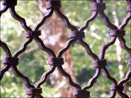  - Манастыр Покрыва Прасвятой Багародзіцы. Фрагмент кратаў