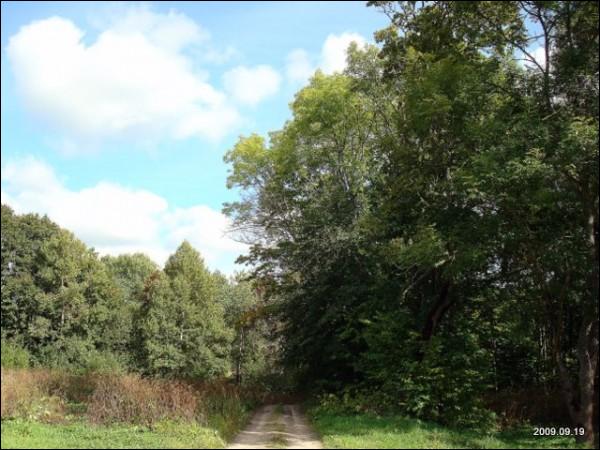  - Manor of Mostowski. 