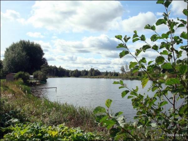  - Manor of Mostowski. 