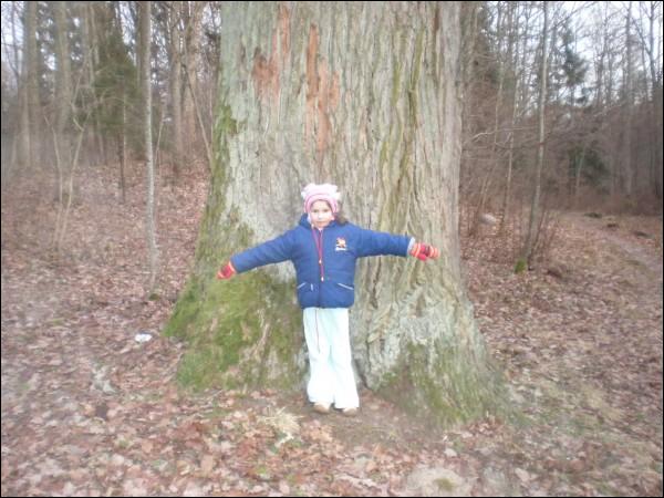 Cirkliškis. Manor of Mostowski