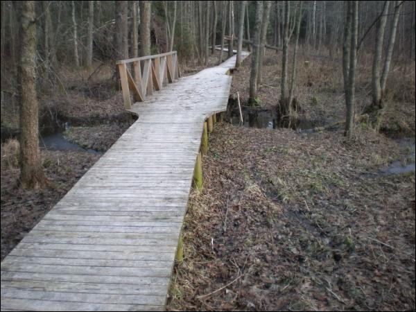 Cerkliszki |  Zespół dworsko-parkowy Mostowskich. 