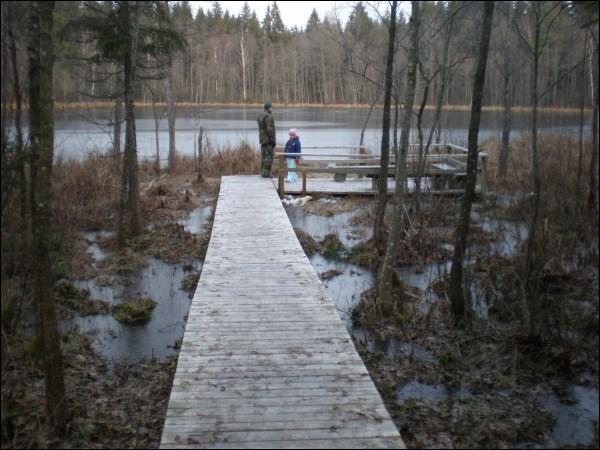 Cirkliškis. Manor of Mostowski