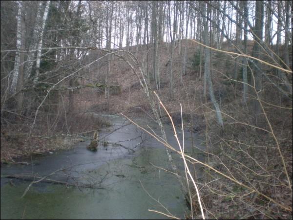 Cirkliškis. Manor of Mostowski