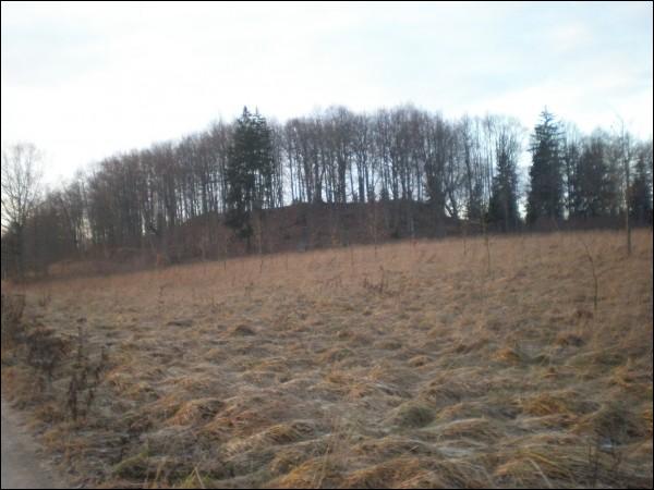 Cerkliszki |  Zespół dworsko-parkowy Mostowskich. 