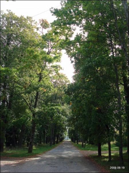 Cirkliškis. Landscapes 