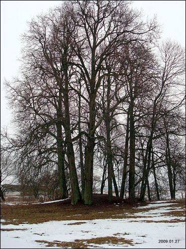  - Kościół i klasztor Benedyktynów. 